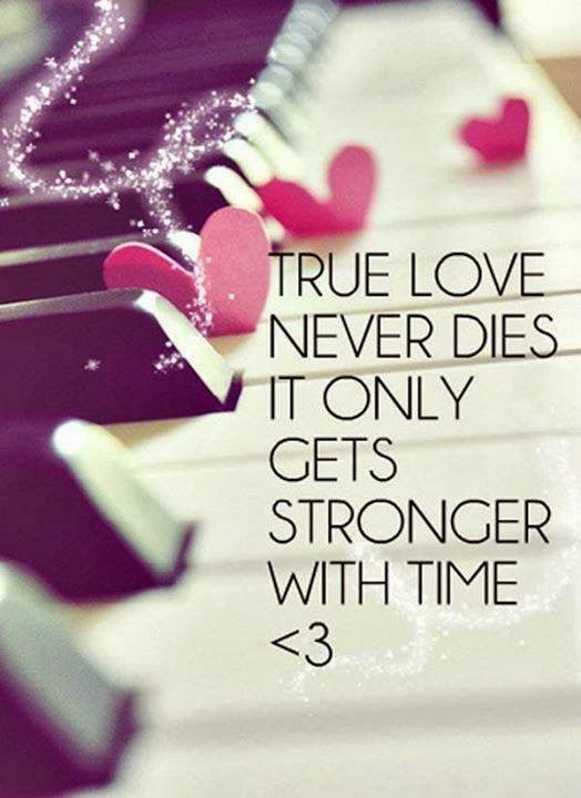WHATSAPP LOVE BAcKGROUND WALLPAPER IMAGE - Whatsapp Status Quotes