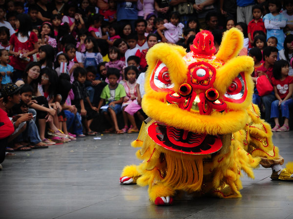 -IBO.US-: Apa itu Barongsai
