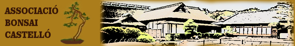 ASOCIACIÓN BONSAI CASTELLÓN