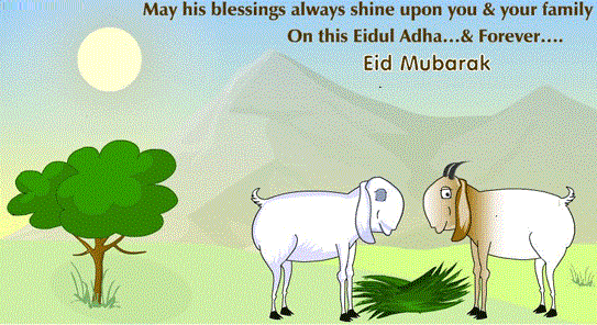 Eid Qurbani 2014 - Articles about Islam