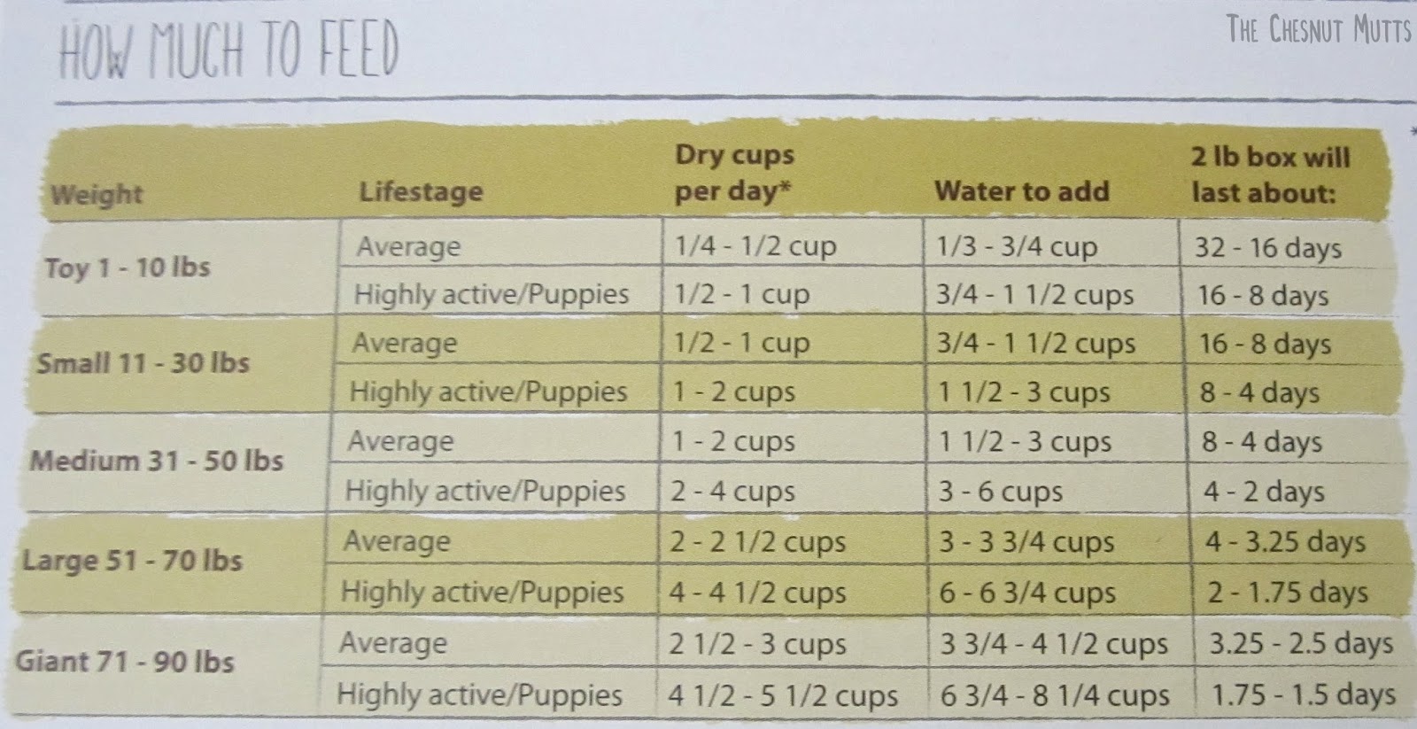 Review The Honest Kitchen Dog Food The Chesnut Mutts