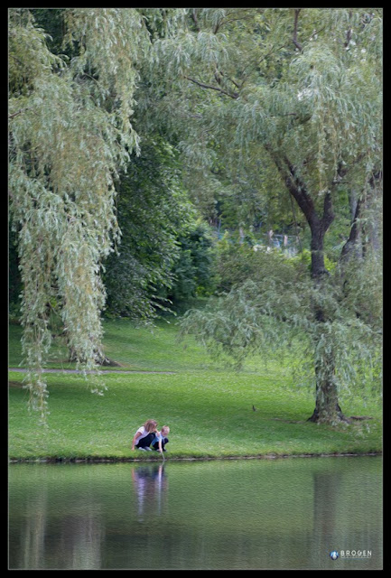 Brogen Photography, Executive Portraits, Corporate Head Shots, Architectural Photography, Commercial Photography, Burlington MA, Sports Photography, Family Portraits, Senior Portraits, Childrens Portaits, Youth Sports Photography