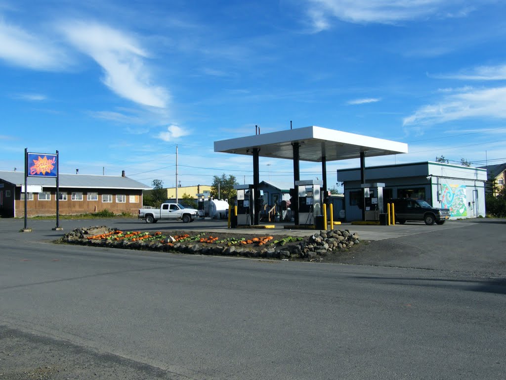 Buster's Alaska Adventure Virtual Tour of Dillingham