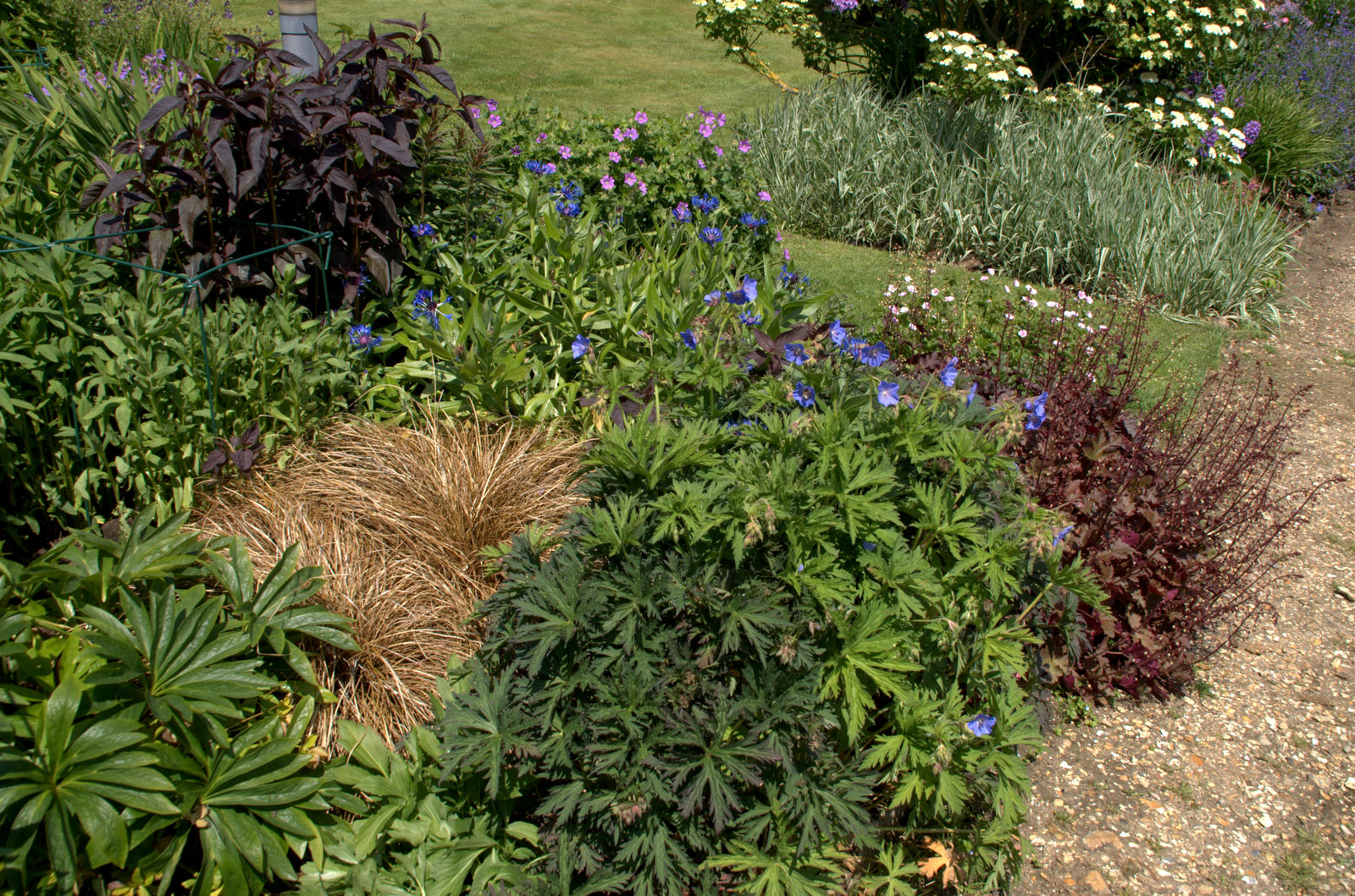 Let S Talk About Khat