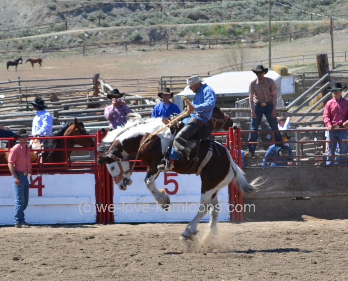 welovekamloops Rodeo Deadman Creek Bullarama