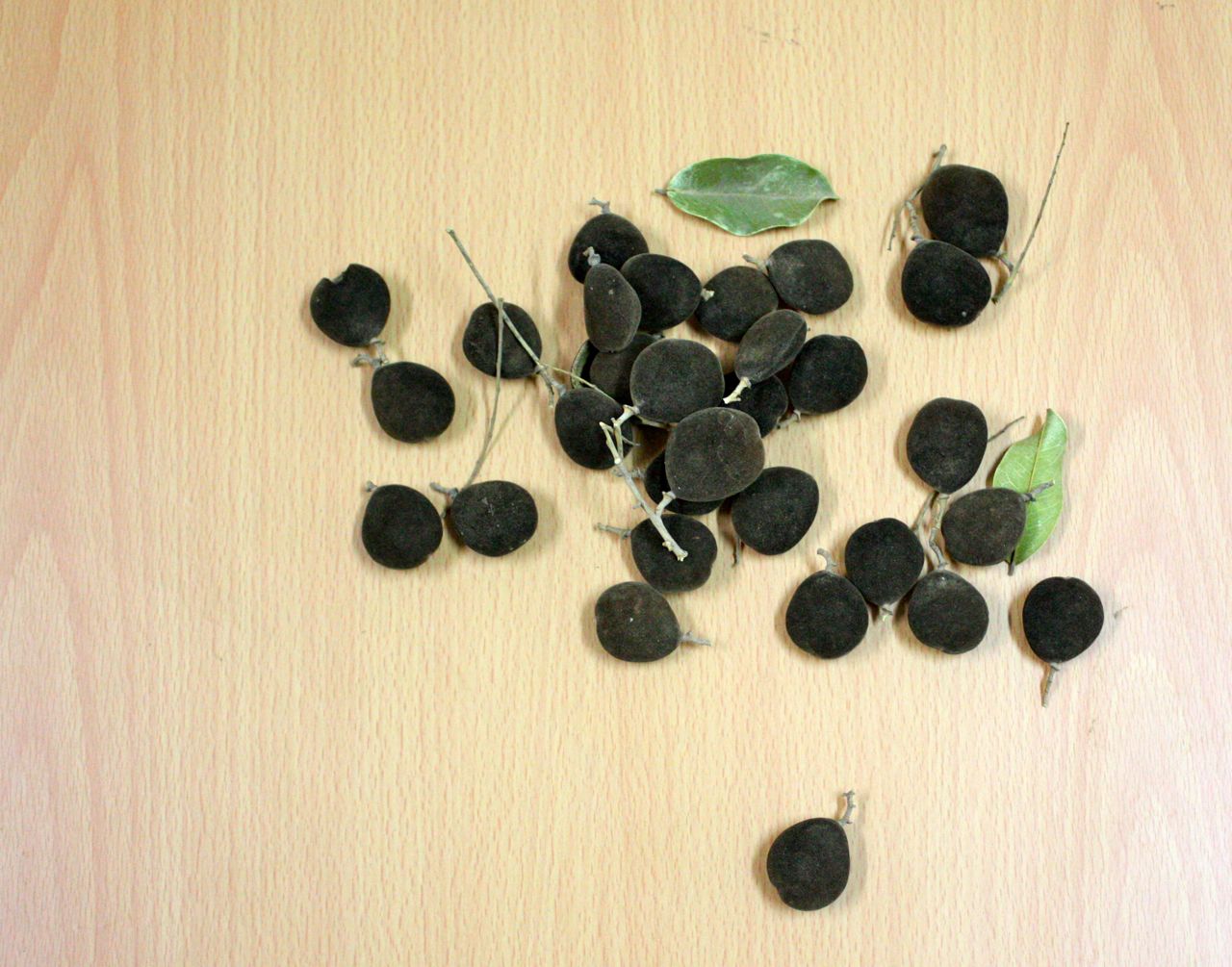 at home in Ghana I got a blackberry!