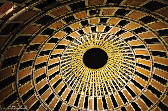 [嘉義] 嘉義森林之歌