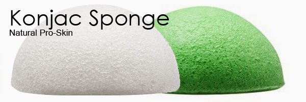 Sponge Organik