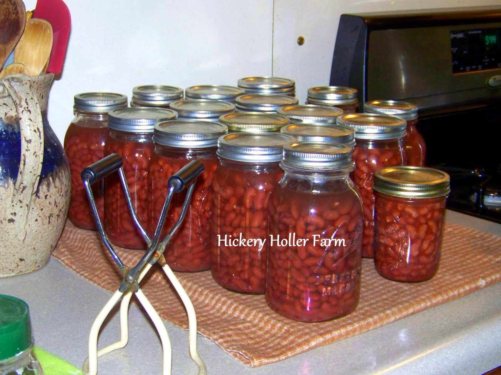 Hickery Holler Farm Canning Red Beans
