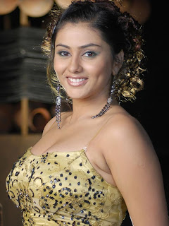 South Indian Actress Namitha Hairstyle Pictures - Girls Hairstyle Ideas