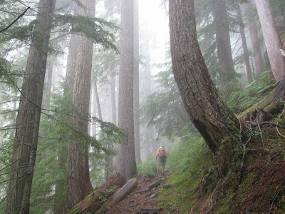 dickerman mt wonderful