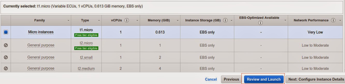 amazon3.jpeg
