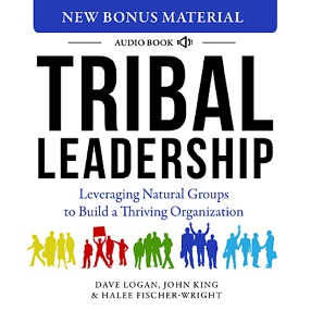 tribal leadership david logan summary