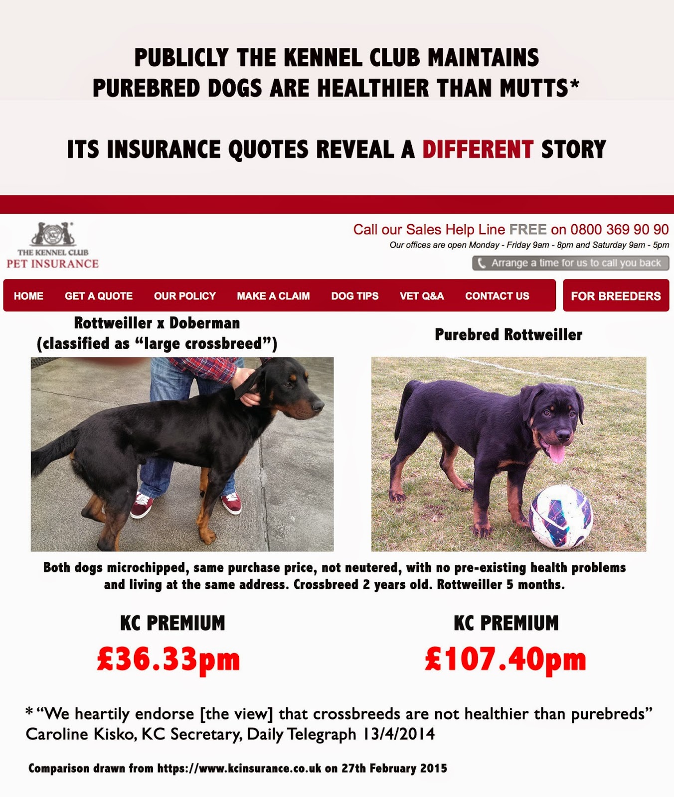 Pedigree Dogs Exposed The Blog Finally Kc Admits Mutts Are Healthier