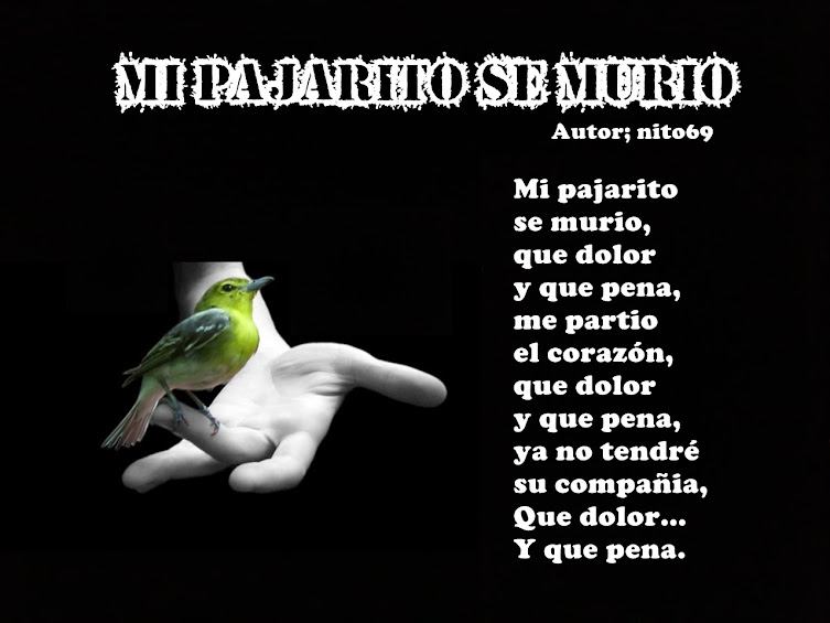 MI PAJARITO SE MURIO