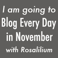 Blog Every Day in November 