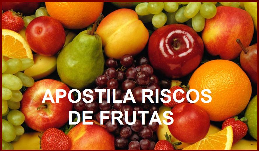 Apostila Artesanato Gratis Teoricamente, qualquer tecido resistente as intempéries e que não apodreça fácilmente a longo prazo. variedadecompanhia no comunidades net