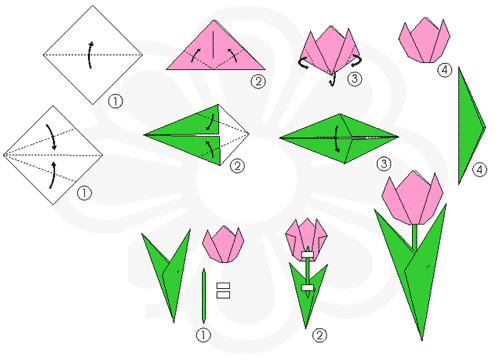 Centro de Recursos Multimediales La Unión: Un tulipan para mamá Centro de Recursos Multimediales La Unión: Un tulipan para mamá