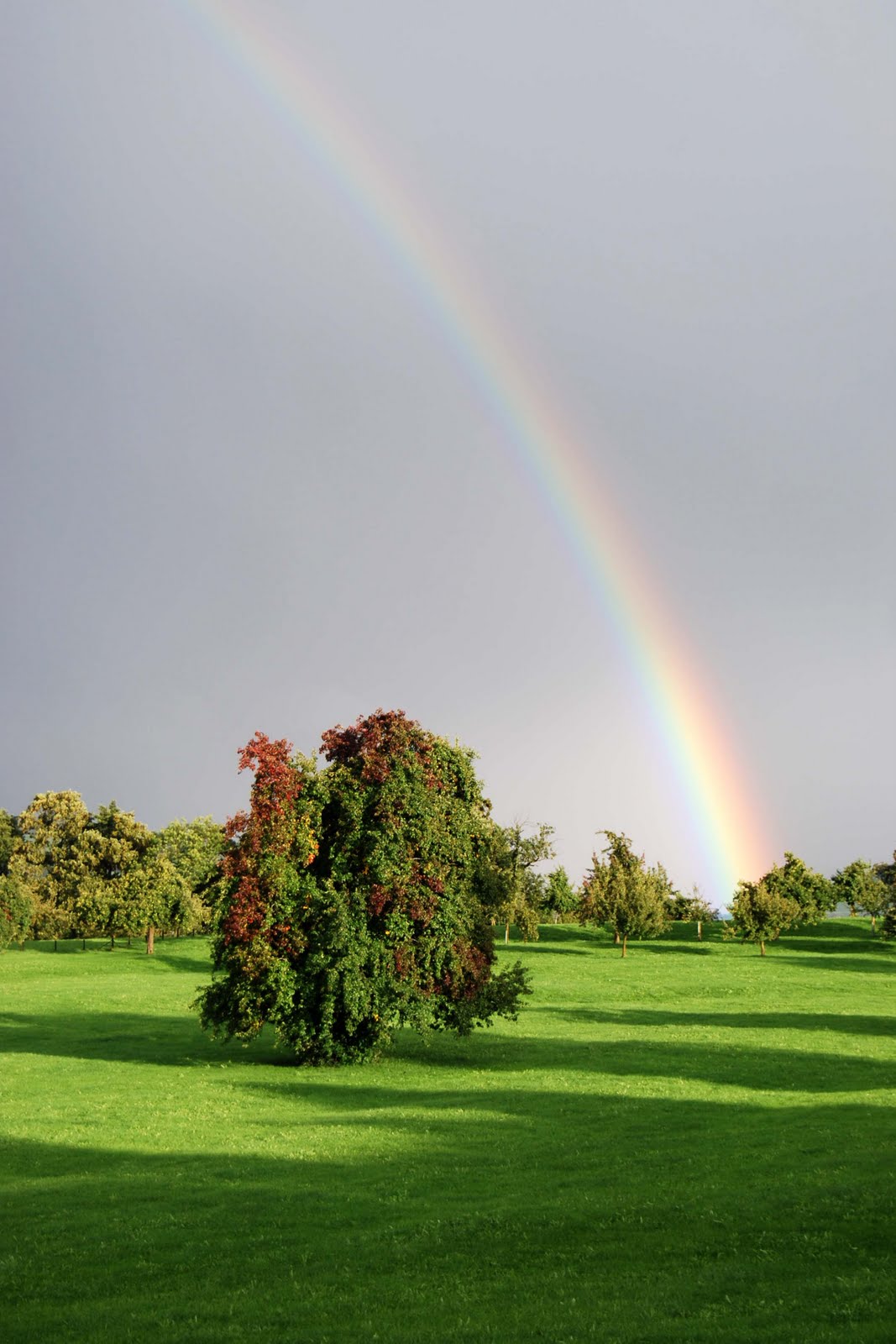Taburettli August 2011