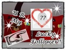 You Are My Lucky Follower