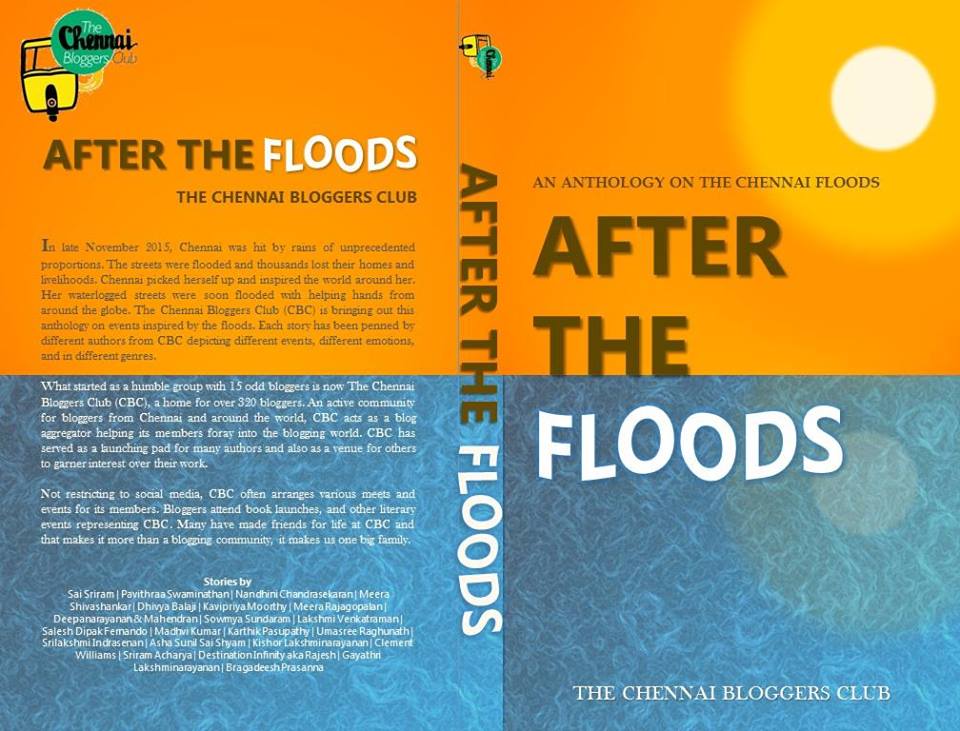 After the Floods - Published 2015