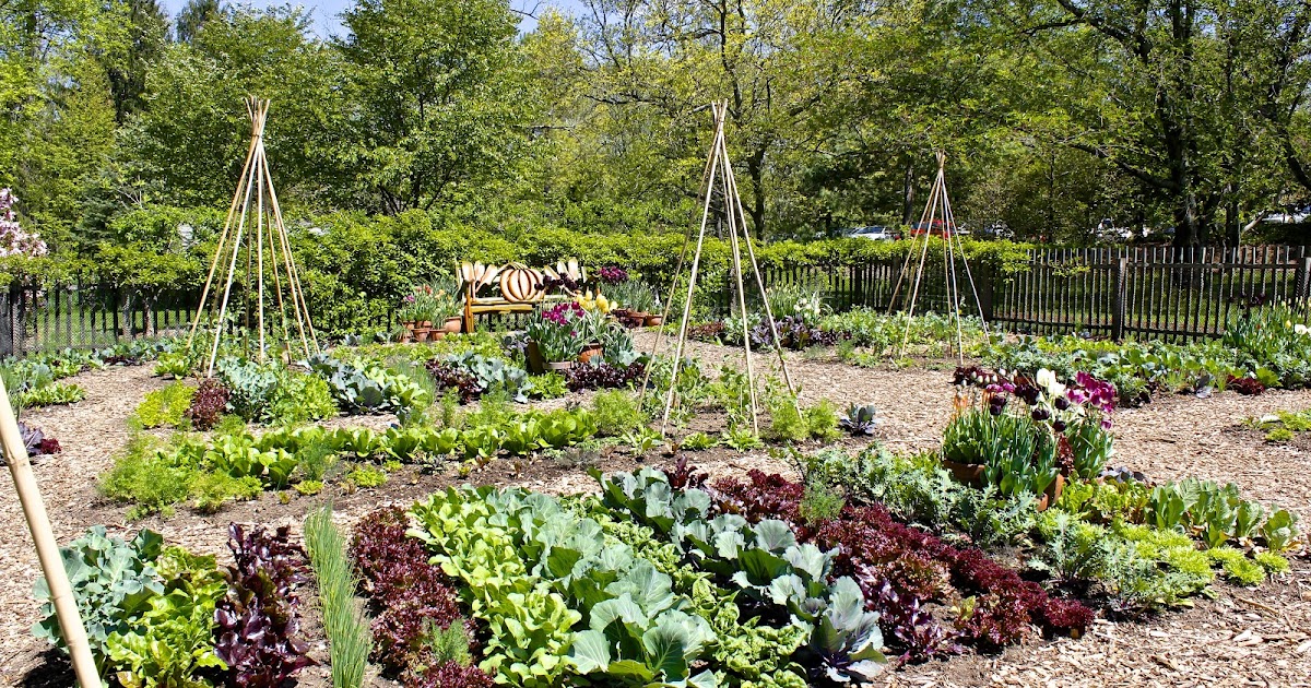 figs flowers food CHANTICLEER GARDENS in Wayne, Pennsylvania