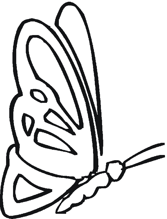 animal coloring pages animal coloring pages
