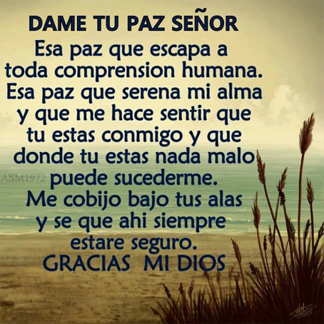 Chicas para todo Chicas para todo