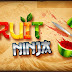 FRUIT NINJA FRENZY HACKS