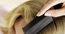 Head Lice And Head Lice Treatments