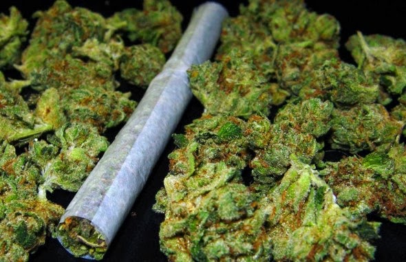 Resultado de imagen de THC EN PORRO