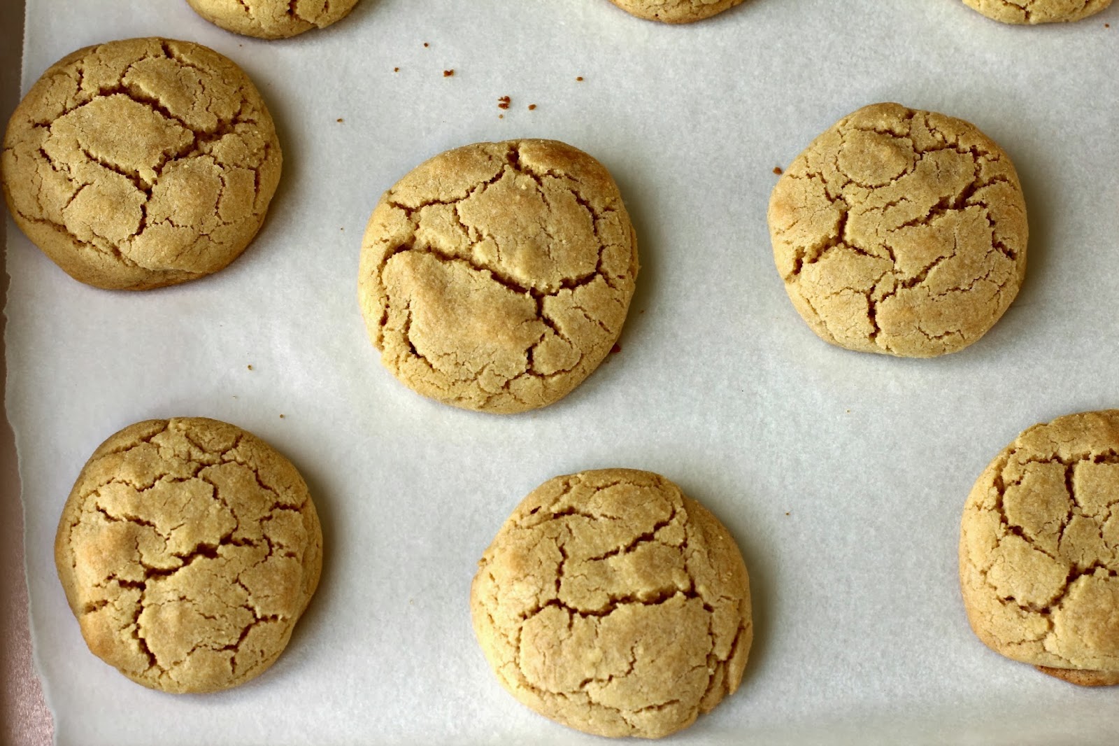 Milk and Honey Sandwich Cookies Two Ways