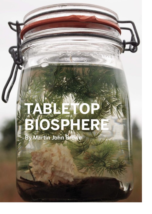 peppermags: DIY: Biosphere
