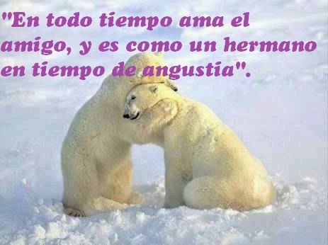 FRASES SOBRE LA VERDADERA AMISTAD desde http://imagenesfrasesmotivadoras.blogspot.com FRASES SOBRE LA VERDADERA AMISTAD