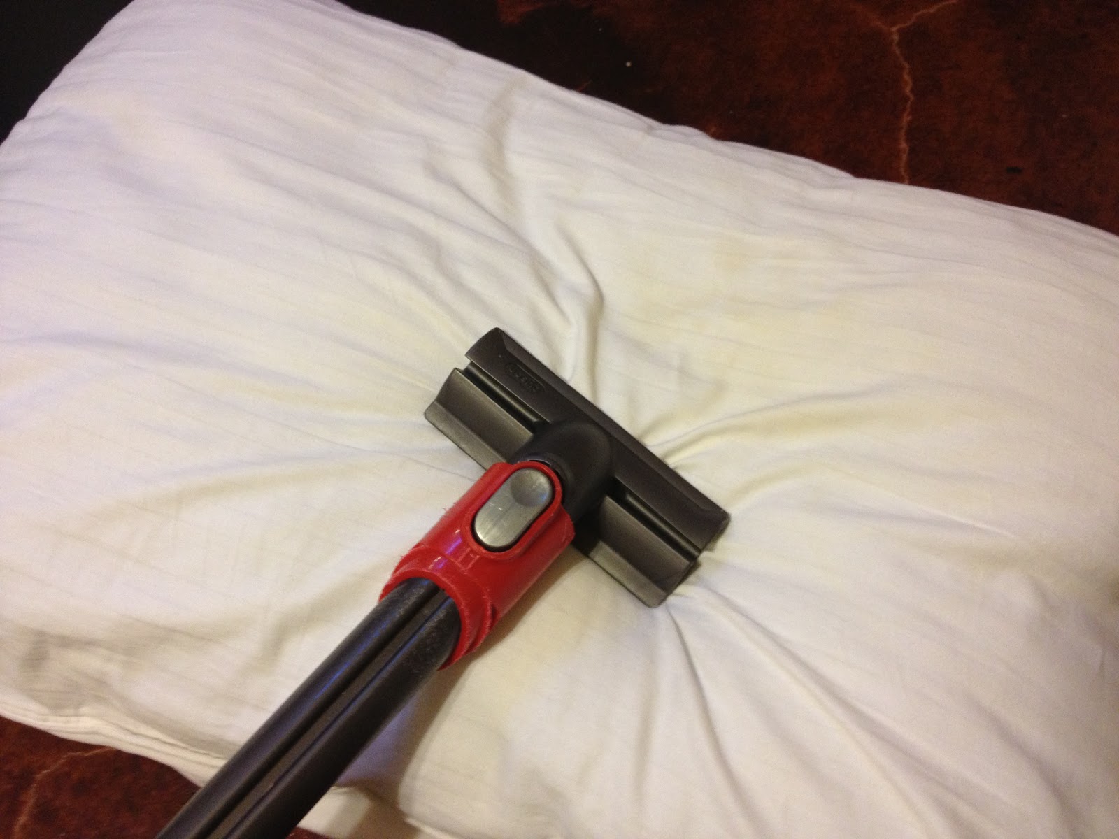 3595 How to treat Lice Home Remedies and so much more!