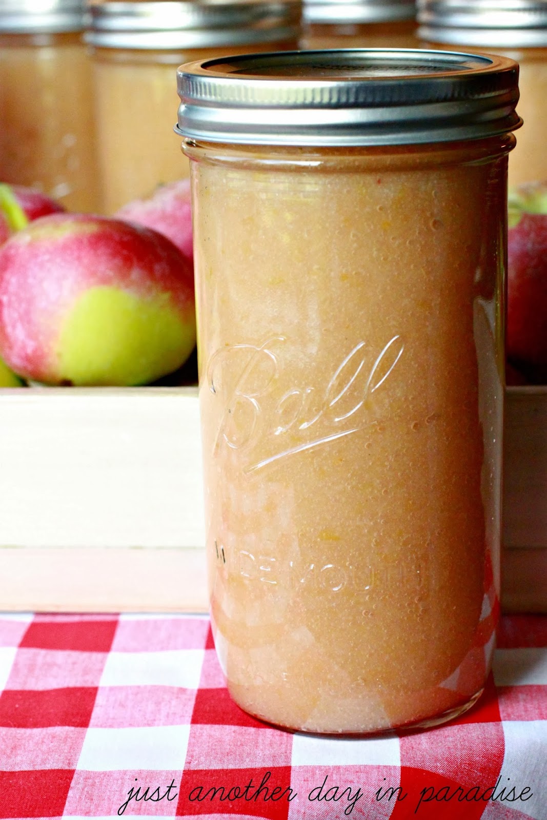 Larissa Another Day How to Can Applesauce