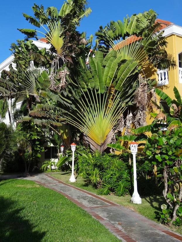 Bezoek Aan Curacao Gedichten Blog