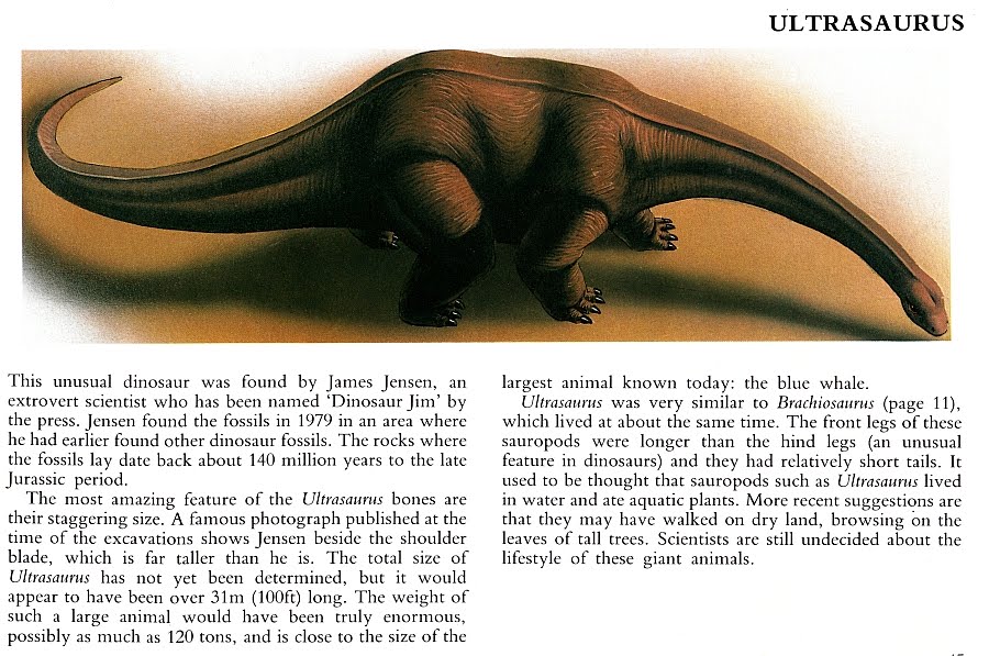 Non Existent Animals