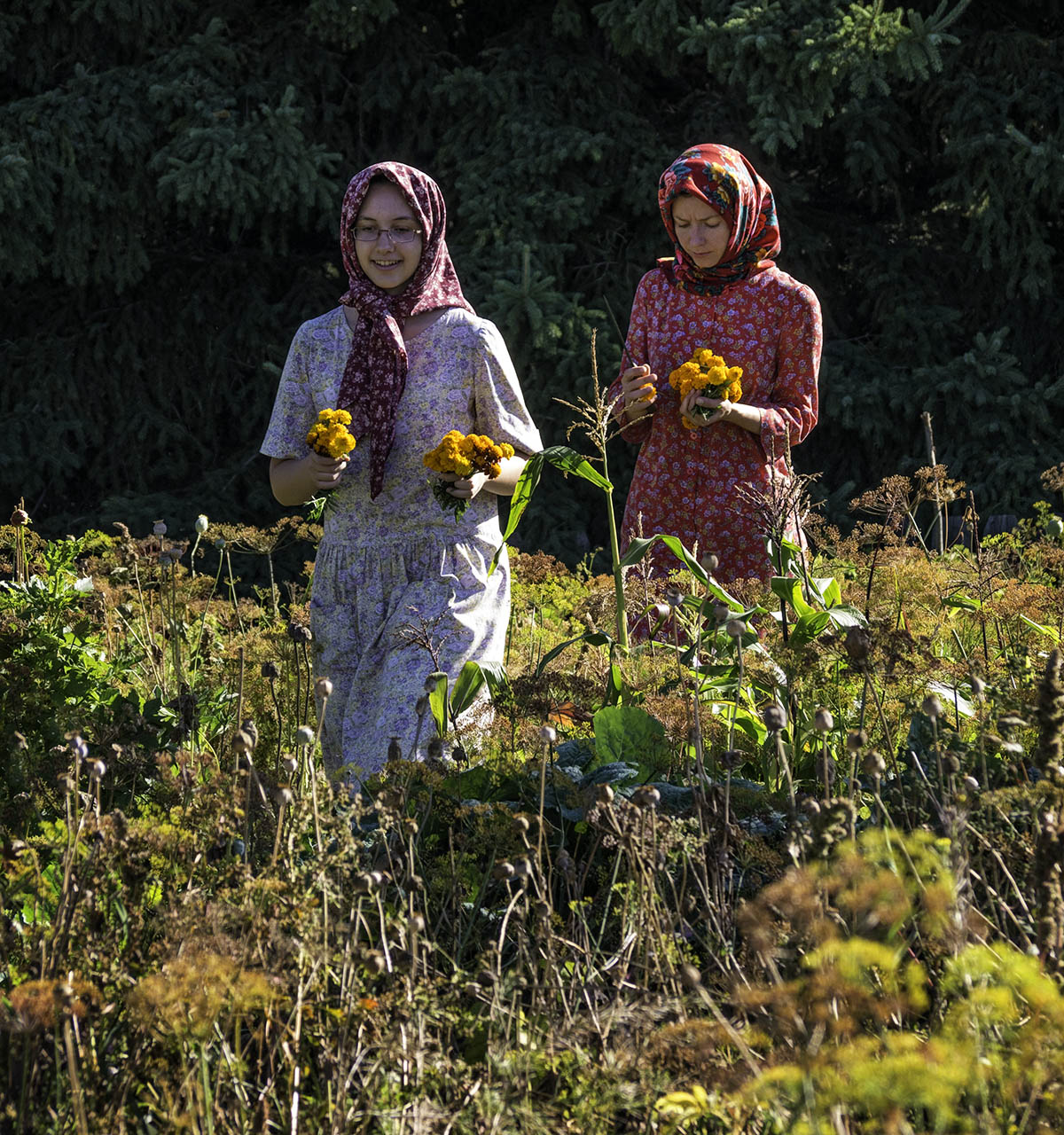 Jim Cox Photos Gathering Flowers Ukrainian Village