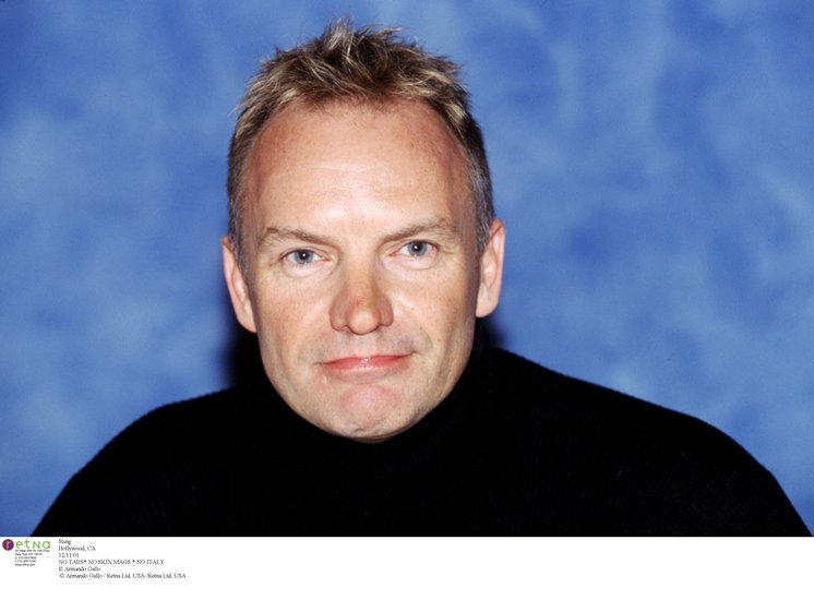 Sting HairStyles - Men Hair Styles Collection