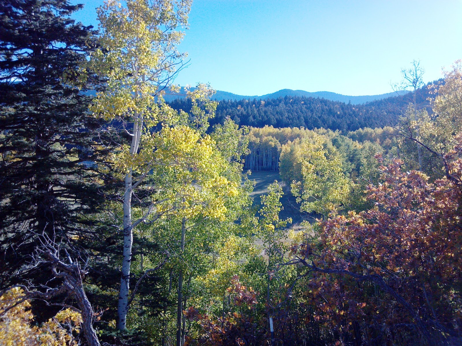 San Isabel Fall 2012 Photo Tour (Aspen, Colorado City homes, live