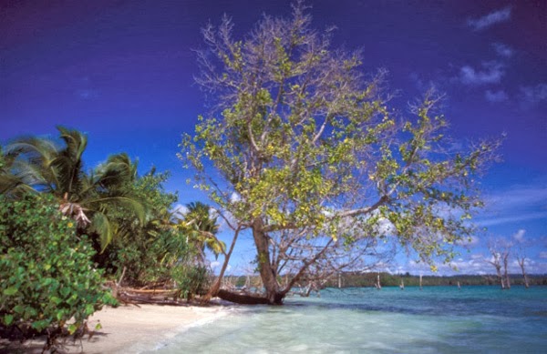 Pulau - Pulau Kecil Anti Stress Indonesia yang mempesona ...