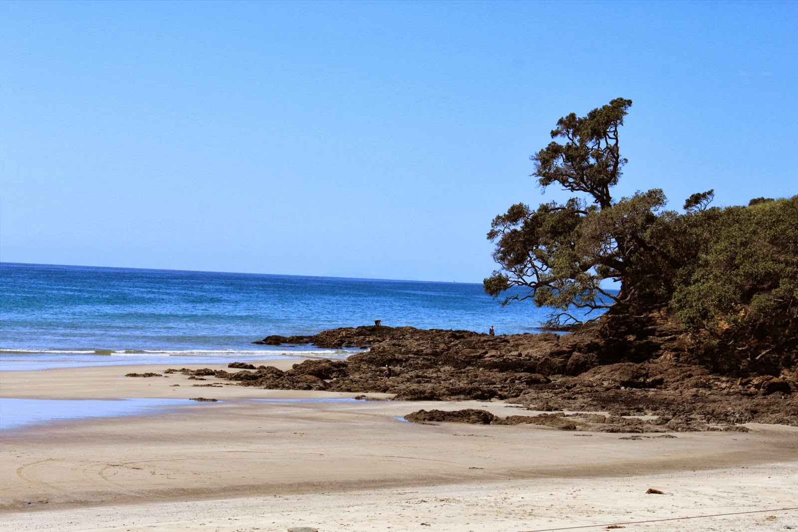 New Zealand Diary Auckland to PaihiaThe Bay of Islands