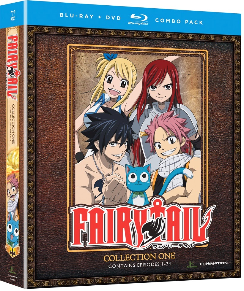 DubSub - Anime Reviews: Fairy Tail Season One Anime Review