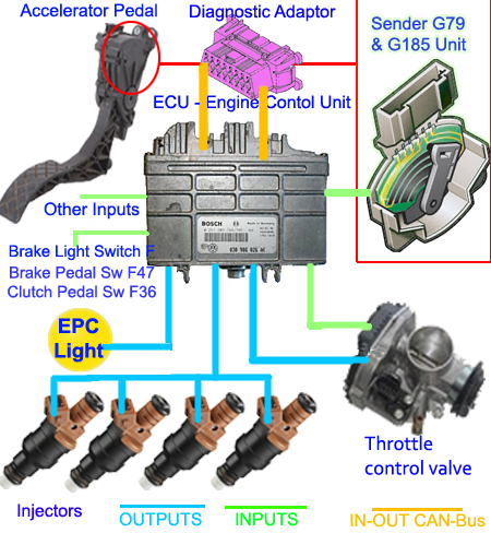 VW POLO: EPC Q & A REVISTITED