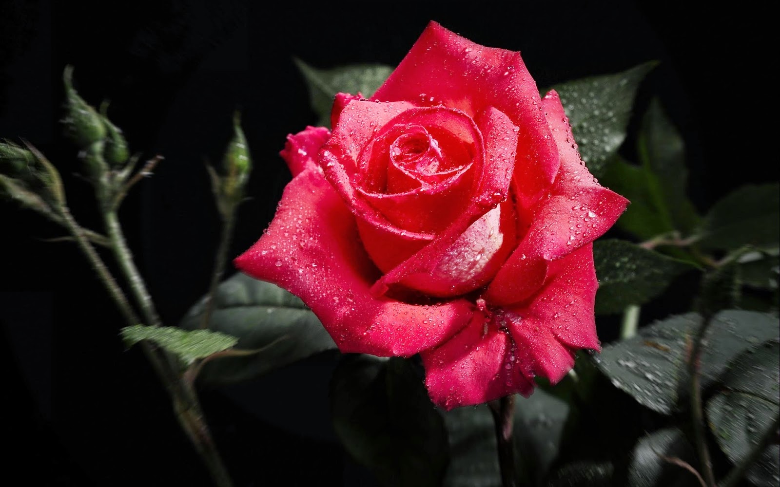 Wallpapers World: April 2014
