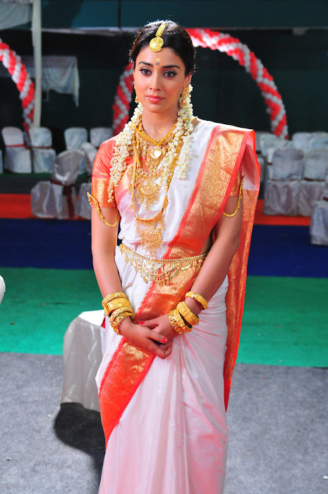 shriya saran traditional saree look hot photoshoot
