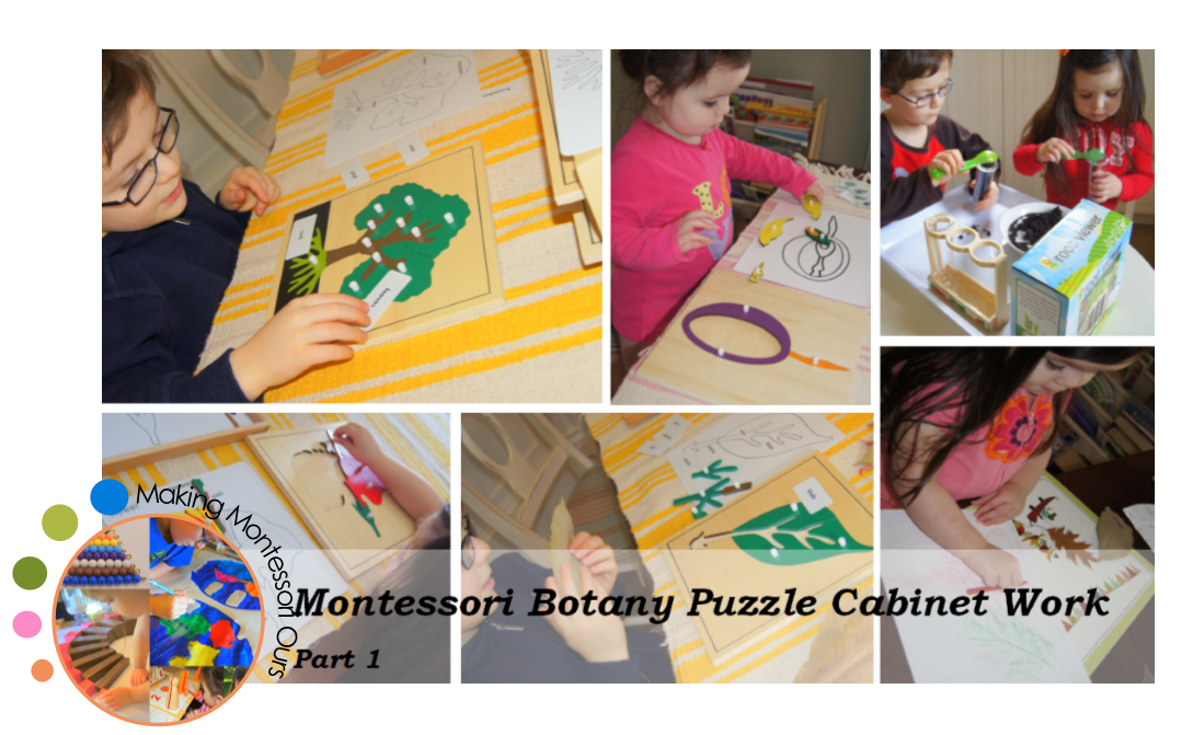Botany 1 Montessori Botany Puzzle Work "Making Montessori Ours"