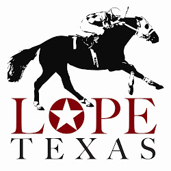 Texas Team Do3 Charity LOPE