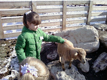 Alex with a goat at baby animal days April2011